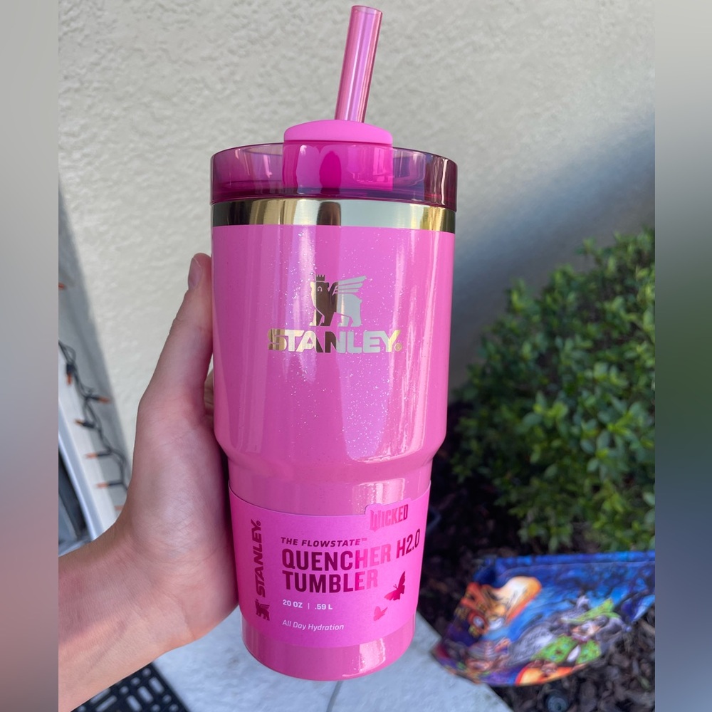 Stanley wicked 20oz